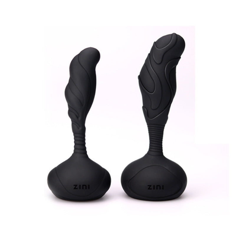 Electric Prostate Massage