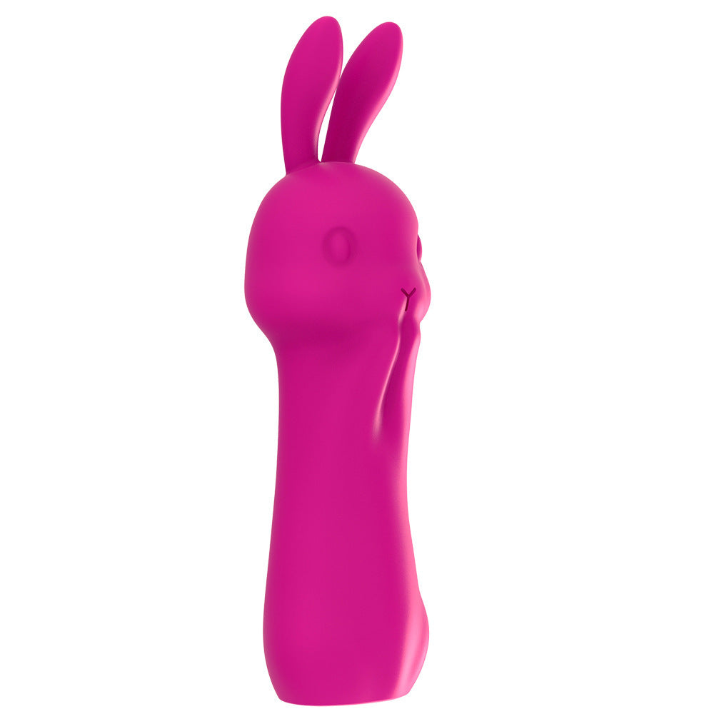 Rabbit Vibrator Massage Masturbation Device