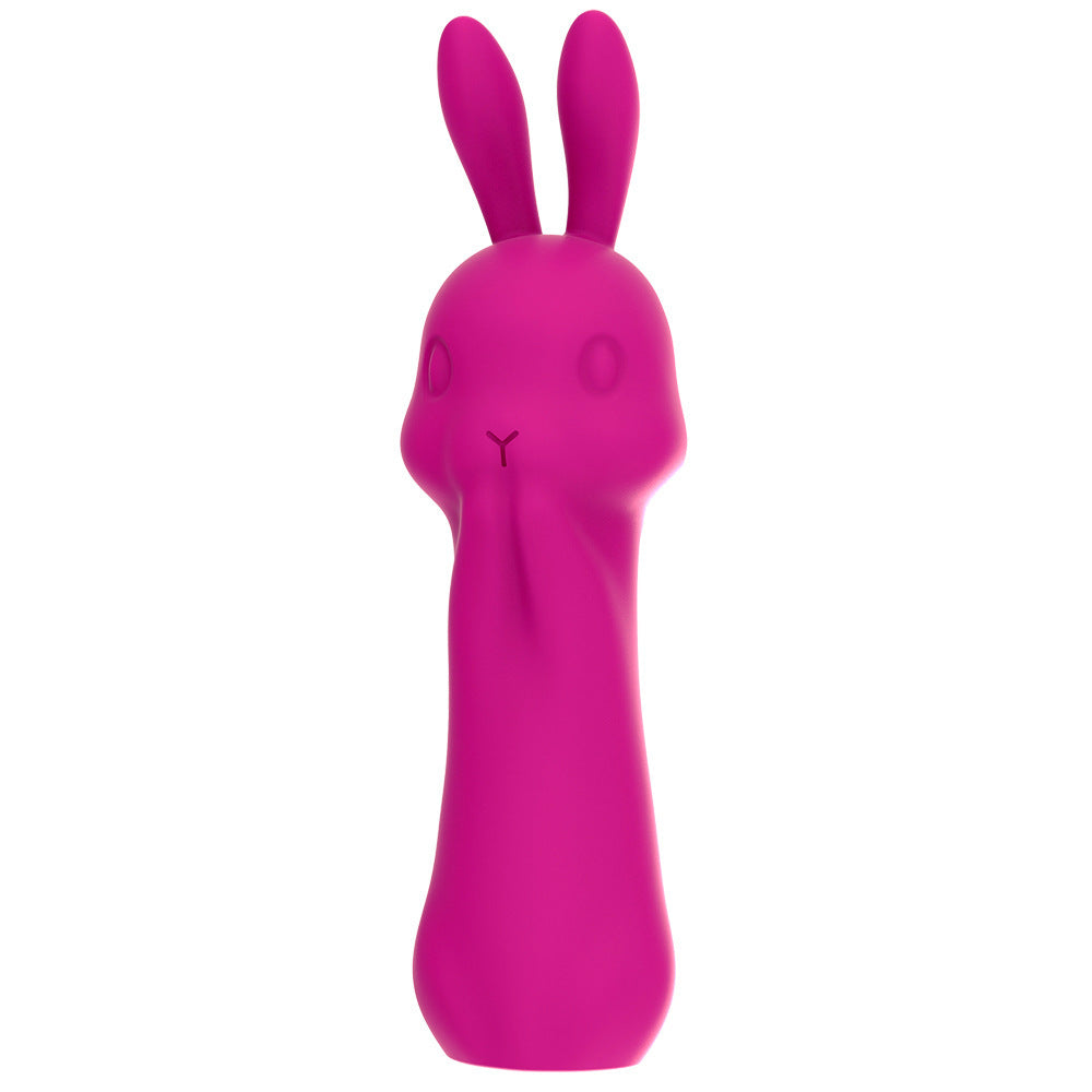 Rabbit Vibrator Massage Masturbation Device