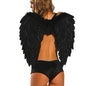 Wings Adult Erotic Lingerie Angel Costume