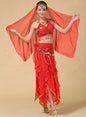 Intricate Belly Dance Performance Costume Multiple Colors