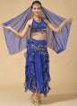 Intricate Belly Dance Performance Costume Multiple Colors