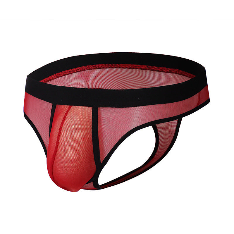 Silk Net Transparent Men's Thong