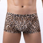 Boxer Briefs Animal Print Low Waist Underwear