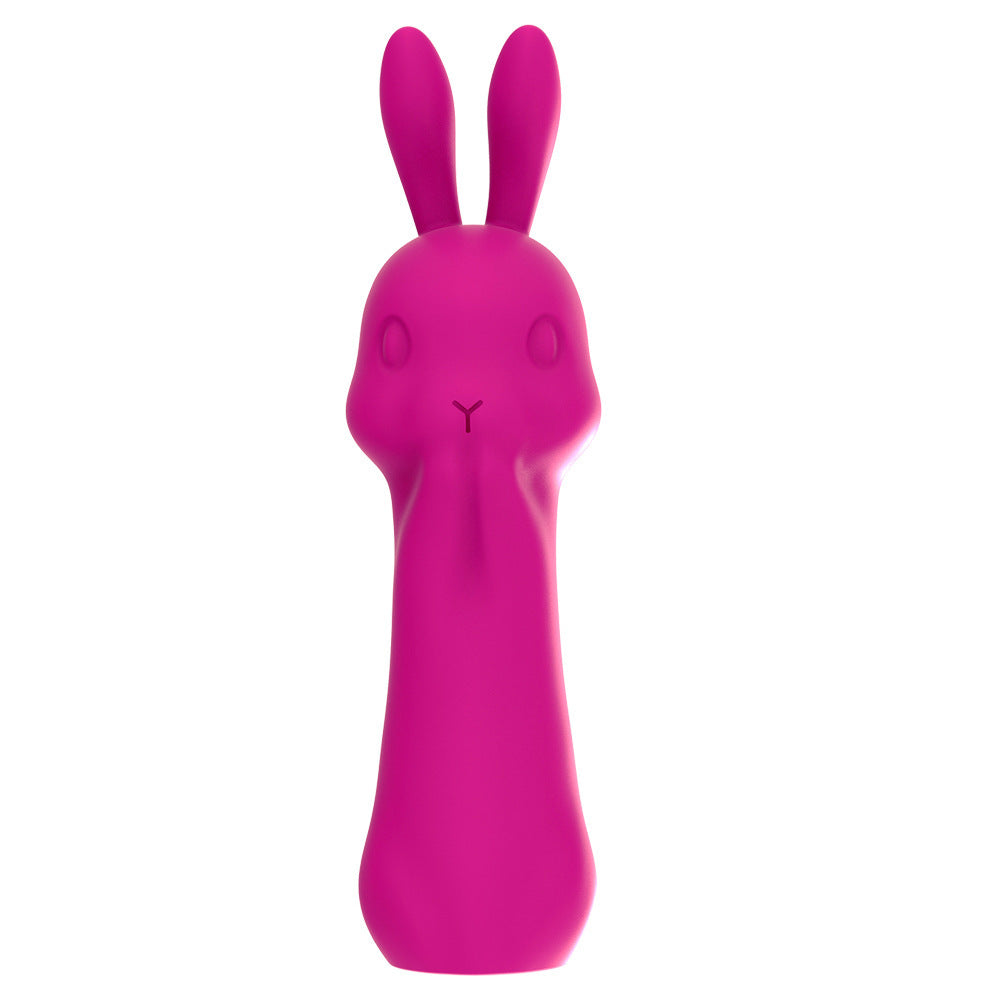 Rabbit Vibrator Massage Masturbation Device