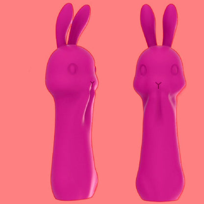 Rabbit Vibrator Massage Masturbation Device